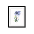 Picture of Purple Petunia II _GroupedProduct_Rectangle_Portrait_Framed_Matted_