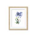 Picture of Purple Petunia II _GroupedProduct_Rectangle_Portrait_Framed_Matted_