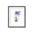 Picture of Purple Petunia II _GroupedProduct_Rectangle_Portrait_Framed_Matted_