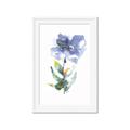 Picture of Purple Petunia II _GroupedProduct_Rectangle_Portrait_Framed_Matted_