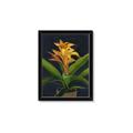 Picture of Indoor Plant _GroupedProduct_Rectangle_Portrait_Framed_Matted_