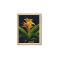 Picture of Indoor Plant _GroupedProduct_Rectangle_Portrait_Framed_Matted_
