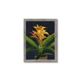 Picture of Indoor Plant _GroupedProduct_Rectangle_Portrait_Framed_Matted_