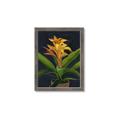 Picture of Indoor Plant _GroupedProduct_Rectangle_Portrait_Framed_Matted_