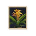 Picture of Indoor Plant _GroupedProduct_Rectangle_Portrait_Framed_Matted_