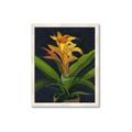 Picture of Indoor Plant _GroupedProduct_Rectangle_Portrait_Framed_Matted_