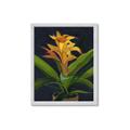 Picture of Indoor Plant _GroupedProduct_Rectangle_Portrait_Framed_Matted_