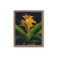 Picture of Indoor Plant _GroupedProduct_Rectangle_Portrait_Framed_Matted_