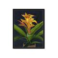 Picture of Indoor Plant _GroupedProduct_Rectangle_Portrait_Framed_Matted_