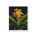 Picture of Indoor Plant _GroupedProduct_Rectangle_Portrait_Framed_Matted_