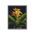 Picture of Indoor Plant _GroupedProduct_Rectangle_Portrait_Framed_Matted_