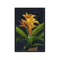 Picture of Indoor Plant _GroupedProduct_Rectangle_Portrait_Framed_Matted_
