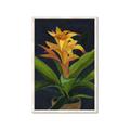 Picture of Indoor Plant _GroupedProduct_Rectangle_Portrait_Framed_Matted_