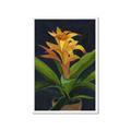 Picture of Indoor Plant _GroupedProduct_Rectangle_Portrait_Framed_Matted_