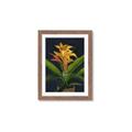 Picture of Indoor Plant _GroupedProduct_Rectangle_Portrait_Framed_Matted_