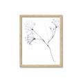 Picture of Flowering Tree Twigs II _GroupedProduct_Rectangle_Portrait_Framed_Matted_