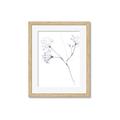 Picture of Flowering Tree Twigs II _GroupedProduct_Rectangle_Portrait_Framed_Matted_