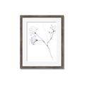 Picture of Flowering Tree Twigs II _GroupedProduct_Rectangle_Portrait_Framed_Matted_