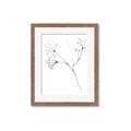 Picture of Flowering Tree Twigs II _GroupedProduct_Rectangle_Portrait_Framed_Matted_