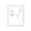 Picture of Flowering Tree Twigs II _GroupedProduct_Rectangle_Portrait_Framed_Matted_