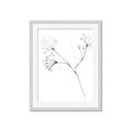 Picture of Flowering Tree Twigs II _GroupedProduct_Rectangle_Portrait_Framed_Matted_
