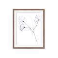 Picture of Flowering Tree Twigs II _GroupedProduct_Rectangle_Portrait_Framed_Matted_