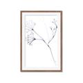 Picture of Flowering Tree Twigs II _GroupedProduct_Rectangle_Portrait_Framed_Matted_