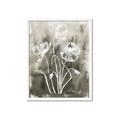 Picture of Brown & White Flower I  _GroupedProduct_Rectangle_Portrait_Framed_Matted_