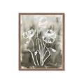 Picture of Brown & White Flower I  _GroupedProduct_Rectangle_Portrait_Framed_Matted_