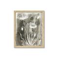 Picture of Brown & White Flower II _GroupedProduct_Rectangle_Portrait_Framed_Matted_
