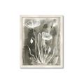 Picture of Brown & White Flower II _GroupedProduct_Rectangle_Portrait_Framed_Matted_