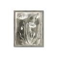 Picture of Brown & White Flower II _GroupedProduct_Rectangle_Portrait_Framed_Matted_