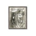 Picture of Brown & White Flower II _GroupedProduct_Rectangle_Portrait_Framed_Matted_