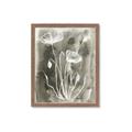 Picture of Brown & White Flower II _GroupedProduct_Rectangle_Portrait_Framed_Matted_
