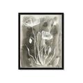 Picture of Brown & White Flower II _GroupedProduct_Rectangle_Portrait_Framed_Matted_