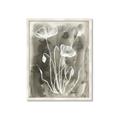 Picture of Brown & White Flower II _GroupedProduct_Rectangle_Portrait_Framed_Matted_