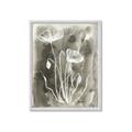 Picture of Brown & White Flower II _GroupedProduct_Rectangle_Portrait_Framed_Matted_