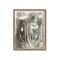 Picture of Brown & White Flower II _GroupedProduct_Rectangle_Portrait_Framed_Matted_