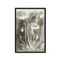 Picture of Brown & White Flower II _GroupedProduct_Rectangle_Portrait_Framed_Matted_