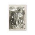 Picture of Brown & White Flower II _GroupedProduct_Rectangle_Portrait_Framed_Matted_