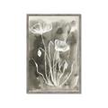 Picture of Brown & White Flower II _GroupedProduct_Rectangle_Portrait_Framed_Matted_