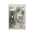 Picture of Brown & White Flower II _GroupedProduct_Rectangle_Portrait_Framed_Matted_