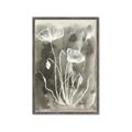 Picture of Brown & White Flower II _GroupedProduct_Rectangle_Portrait_Framed_Matted_