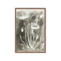 Picture of Brown & White Flower II _GroupedProduct_Rectangle_Portrait_Framed_Matted_