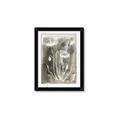 Picture of Brown & White Flower II _GroupedProduct_Rectangle_Portrait_Framed_Matted_