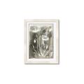 Picture of Brown & White Flower II _GroupedProduct_Rectangle_Portrait_Framed_Matted_