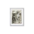 Picture of Brown & White Flower II _GroupedProduct_Rectangle_Portrait_Framed_Matted_