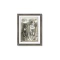 Picture of Brown & White Flower II _GroupedProduct_Rectangle_Portrait_Framed_Matted_