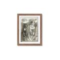 Picture of Brown & White Flower II _GroupedProduct_Rectangle_Portrait_Framed_Matted_