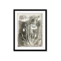 Picture of Brown & White Flower II _GroupedProduct_Rectangle_Portrait_Framed_Matted_